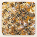 Search for honey coasters Beehive