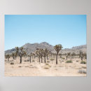 Search for joshua tree posters National park