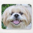 Search for sweet dog mouse mats Adorable