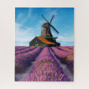 Search for provence puzzles Lavender