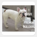 Search for french bulldog love stickers Cute