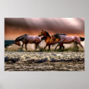 Search for free horse posters Animal
