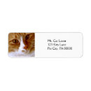 Search for ups return address labels For her
