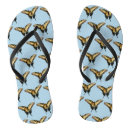 Search for insect shoes Nature