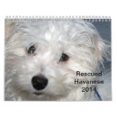 Search for black white animal calendars Puppies
