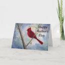 Search for cute cardinal cards Nature