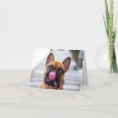 Search for french bulldog cards Happy