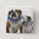 Search for animal collar badges Cute