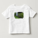 Search for moss green tshirts Scenic