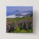 Search for along badges Coastline