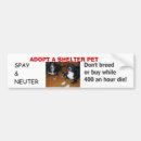Search for shelter bumper stickers Spay