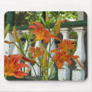 Search for lilly standard mouse mats Lily