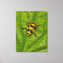 Search for darts canvas prints Danger