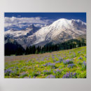 Search for mt rainier posters Washington