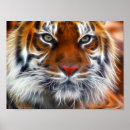 Search for bengal tiger posters Tigers