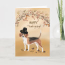 Search for funny beagle postcards Humourous