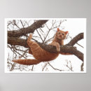 Search for oops posters Funny