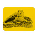 Search for black wolf magnets Wildlife