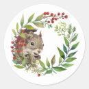 Search for cute squirrel stickers Wildlife