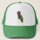 Search for hawk hats Bird