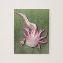 Search for axolotls puzzles Cute