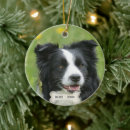 Search for border collie christmas decor Typography