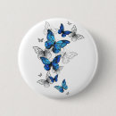 Search for blue butterfly badges Butterflies