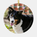 Search for mouth christmas tree decorations Dog