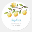 Search for citrus fruit stickers Watercolor