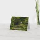 Search for alaska eagle cards Nature