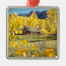 Search for country western christmas tree decorations Cabin