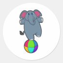 Search for circus elephant stickers Birthday