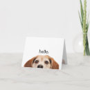 Search for beagle lovers cards Dogs