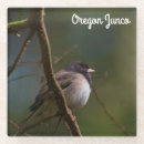 Search for oregon coasters Nature