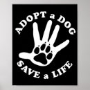 Search for animal rescue posters Paw