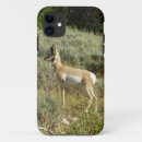 Search for antelope iphone cases Wildlife