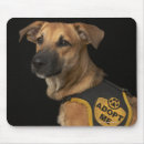 Search for adopt mouse mats Animal
