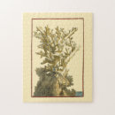 Search for coral reef puzzles Sealife