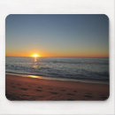 Search for cabo mouse mats Mexico