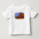 Search for red rock canyon tshirts Usa