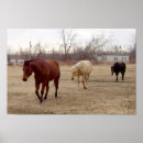 Search for equine posters Pasture