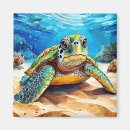 Search for sea turtle magnets Tropical