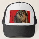 Search for cane hats Dog