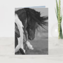 Search for black horse cards Wild