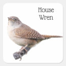 Search for wren stickers Bird