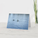 Search for blue pond cards Duck