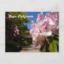 Search for grapevine postcards California