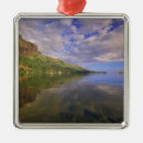 Search for reflection christmas tree decorations Walter bibikow