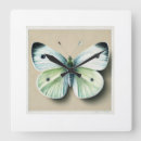 Search for white butterfly art Watercolor