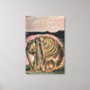 Search for material canvas prints William